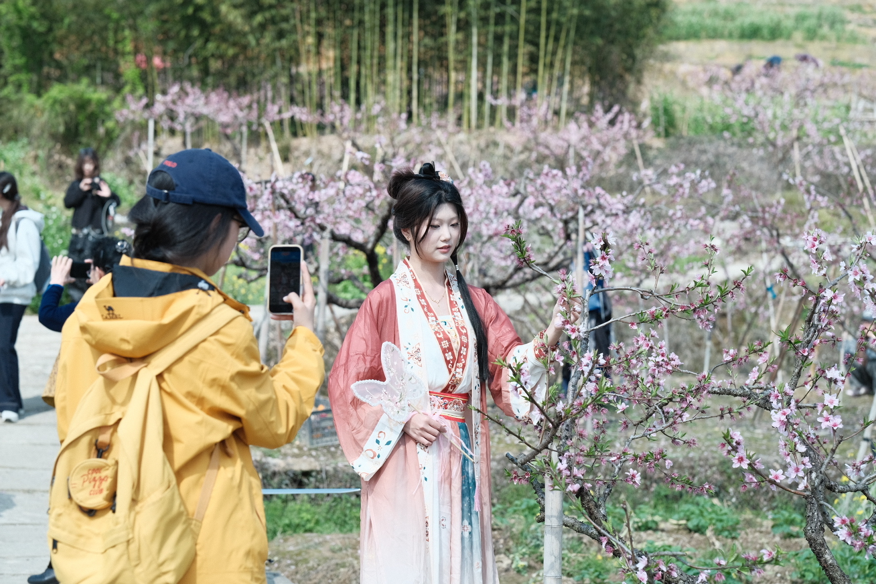 从教室到田野：这所高校的课堂竟然“搬”进了千亩桃林！