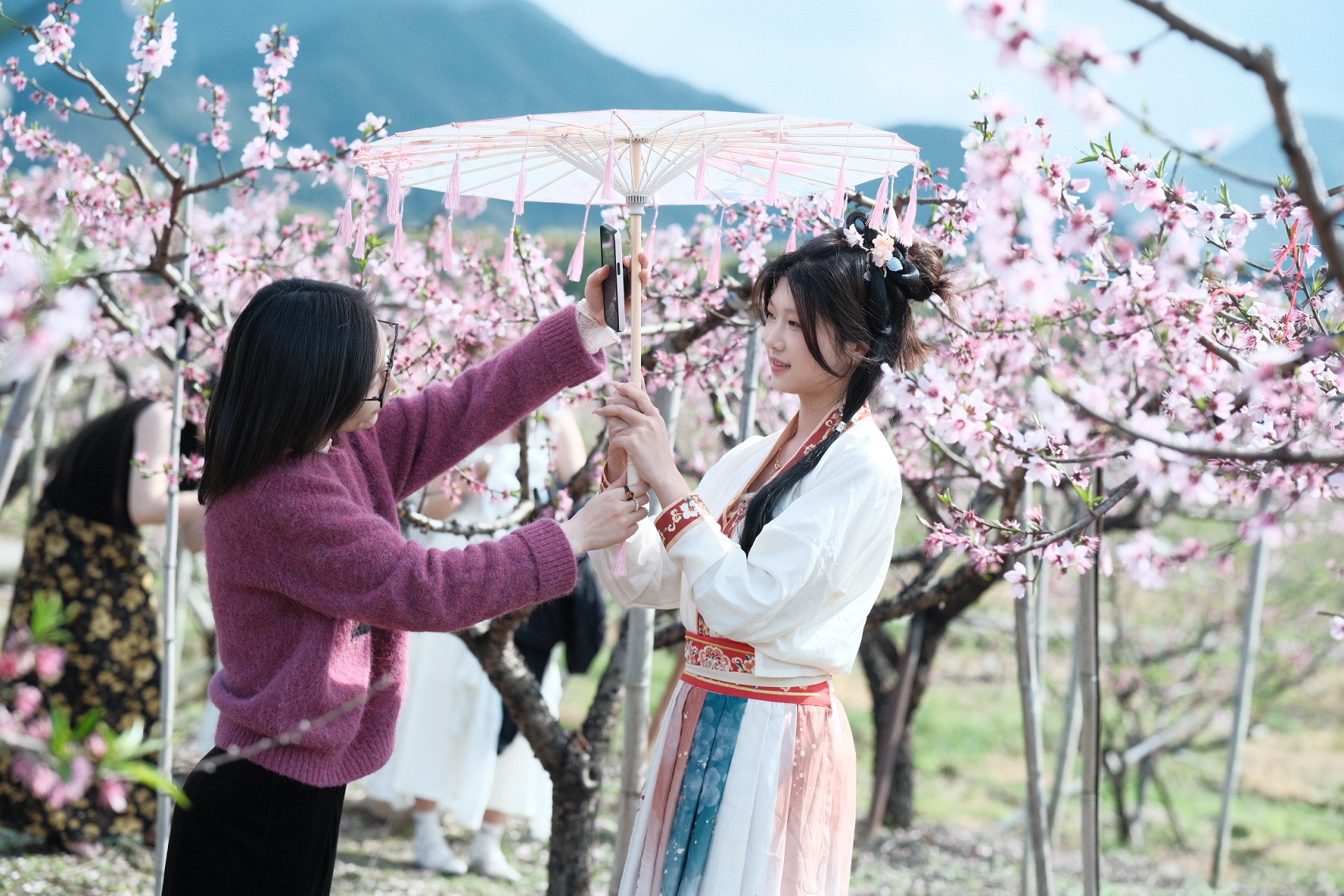 从教室到田野：这所高校的课堂竟然“搬”进了千亩桃林！