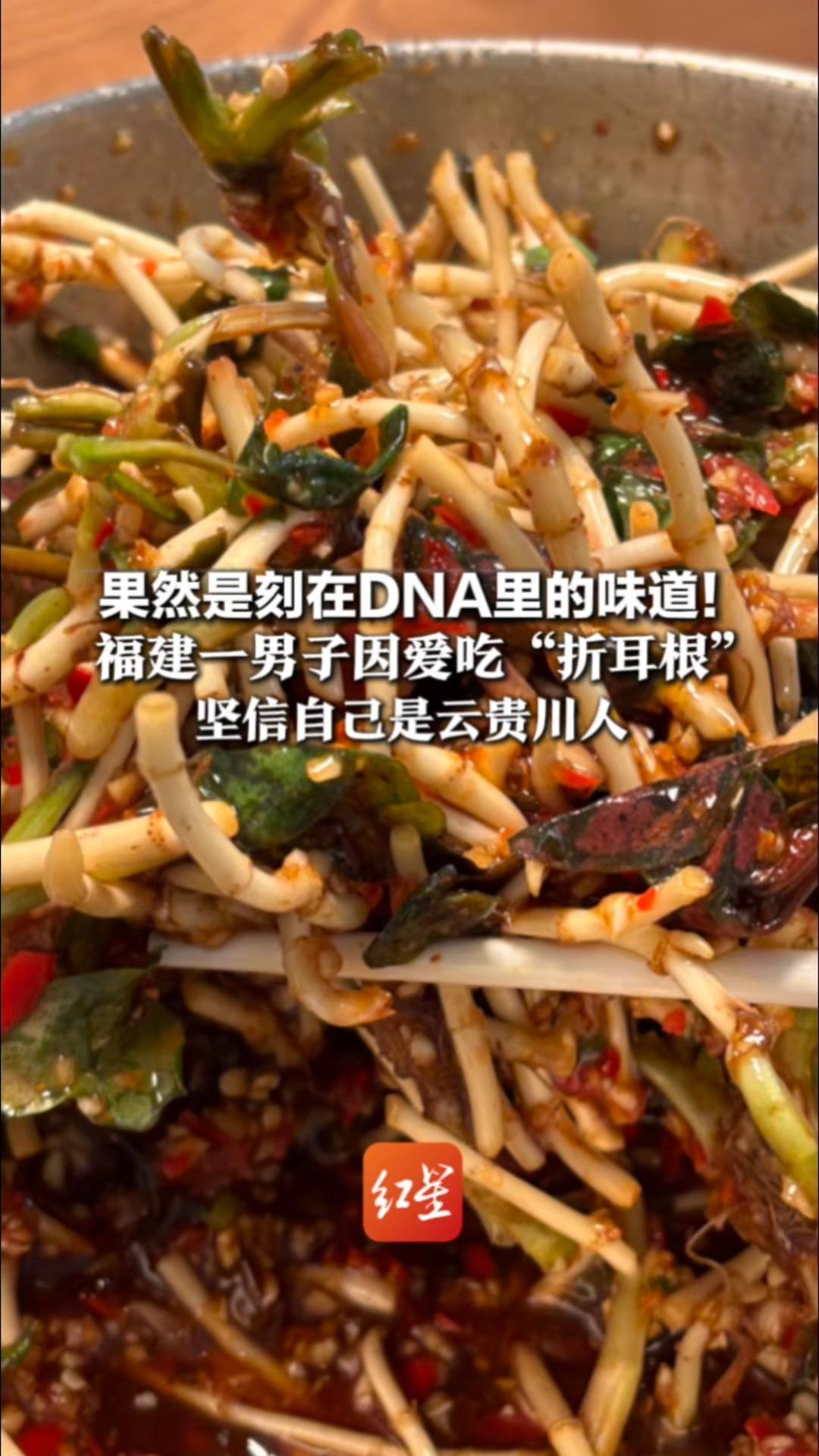 果然是刻在DNA里的味道！ 福建一男子因爱吃“折耳根” 坚信自己是云贵川人 最终在贵阳找到失散22年的家人