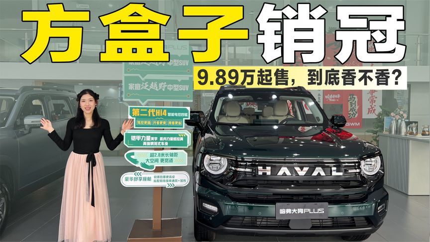 探店哈弗大狗：9.89万起售，实车到底香不香？