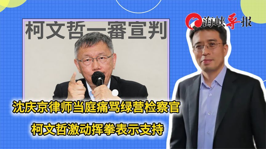 沈庆京律师当庭痛骂绿营检察官 柯文哲激动挥拳表示支持