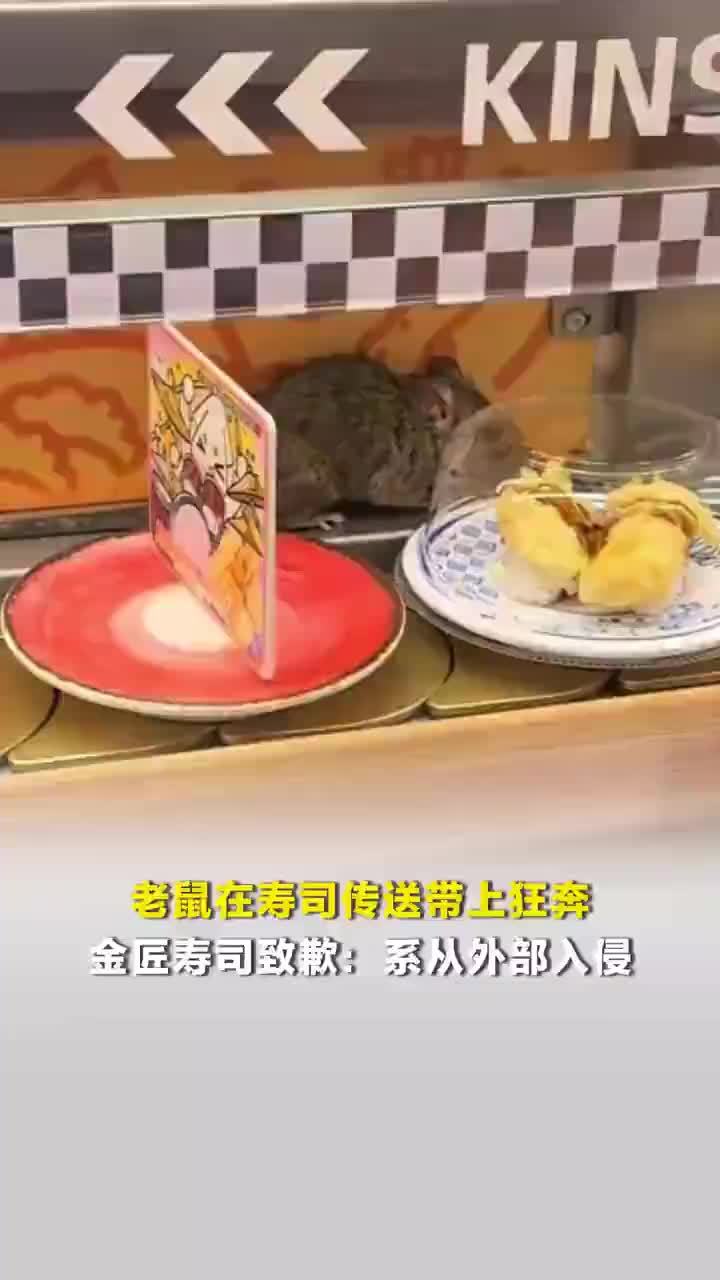 金匠寿司回应老鼠在传送带上撒欢：老鼠系从外部入侵，当日所有食材全部废弃