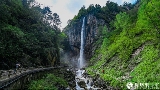 宕昌官鹅沟景区瀑布成群，原始森林与高山草甸相映成趣。李德宇　摄