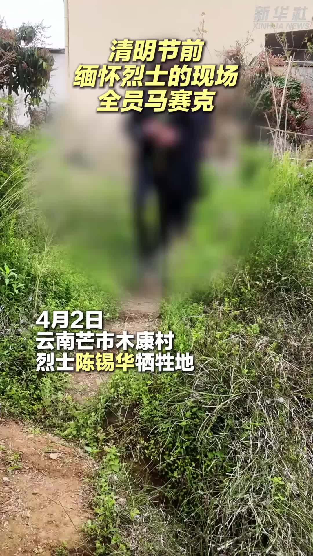 清明节前缅怀烈士的现场，全员“打码”……