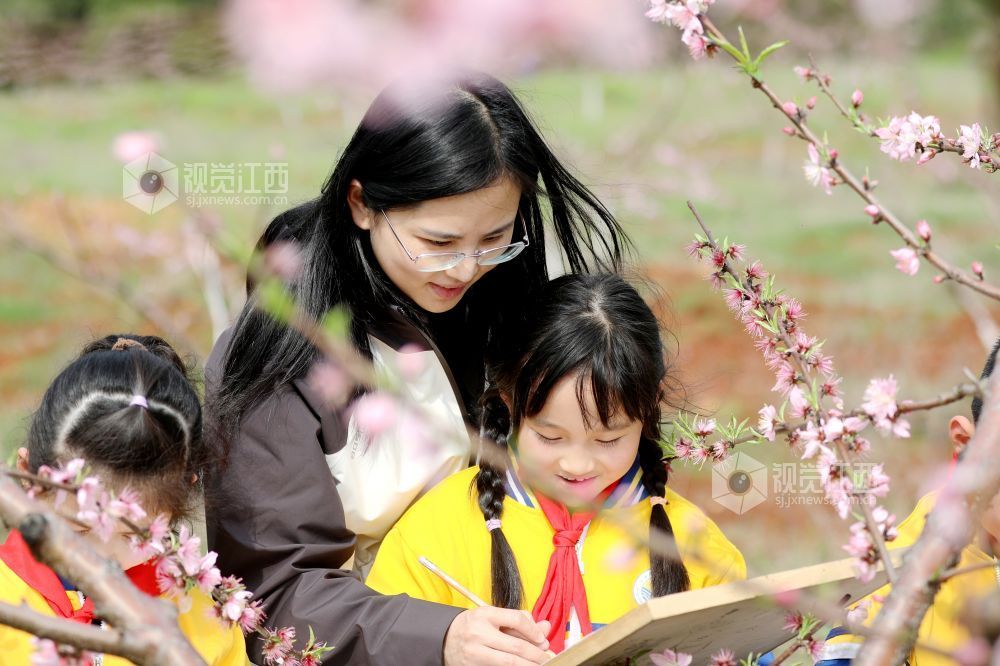 江西宜春：桃花园里绘春天（图）