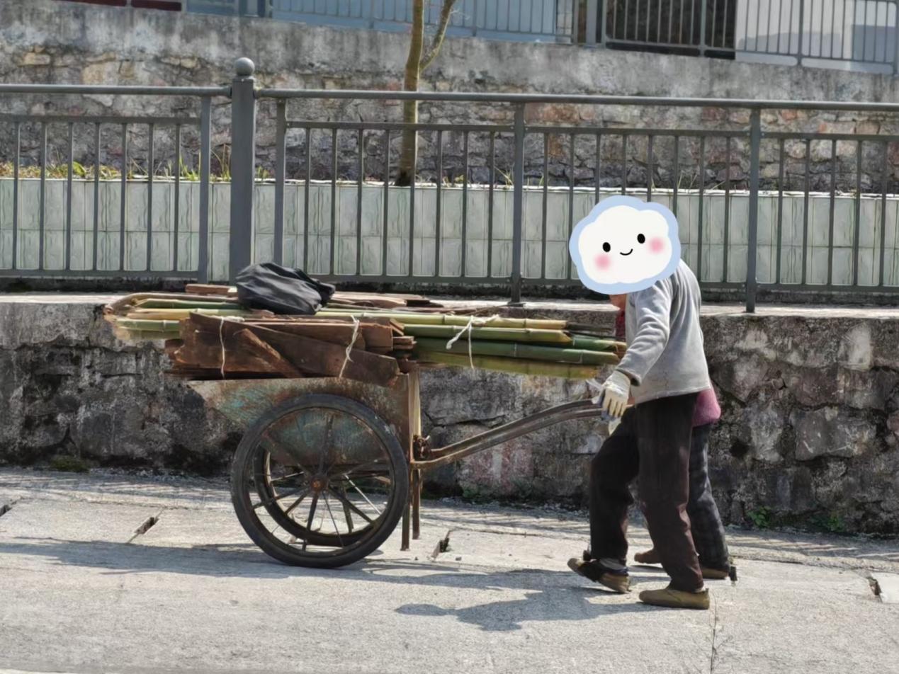 李田在推柴火上坡。凤凰网《风暴眼》摄