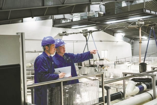 从“甬电无忧”读懂宁波营商环境的硬核底气