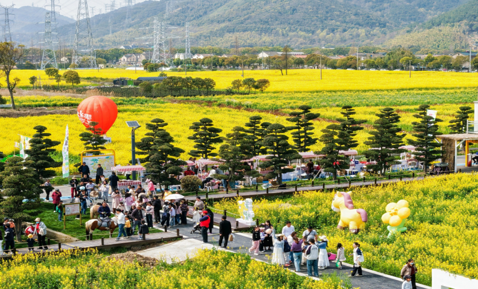 油菜花田与共富市集