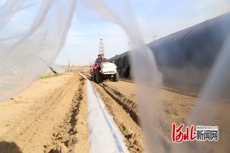 图为播种马铃薯现场。吴海民摄