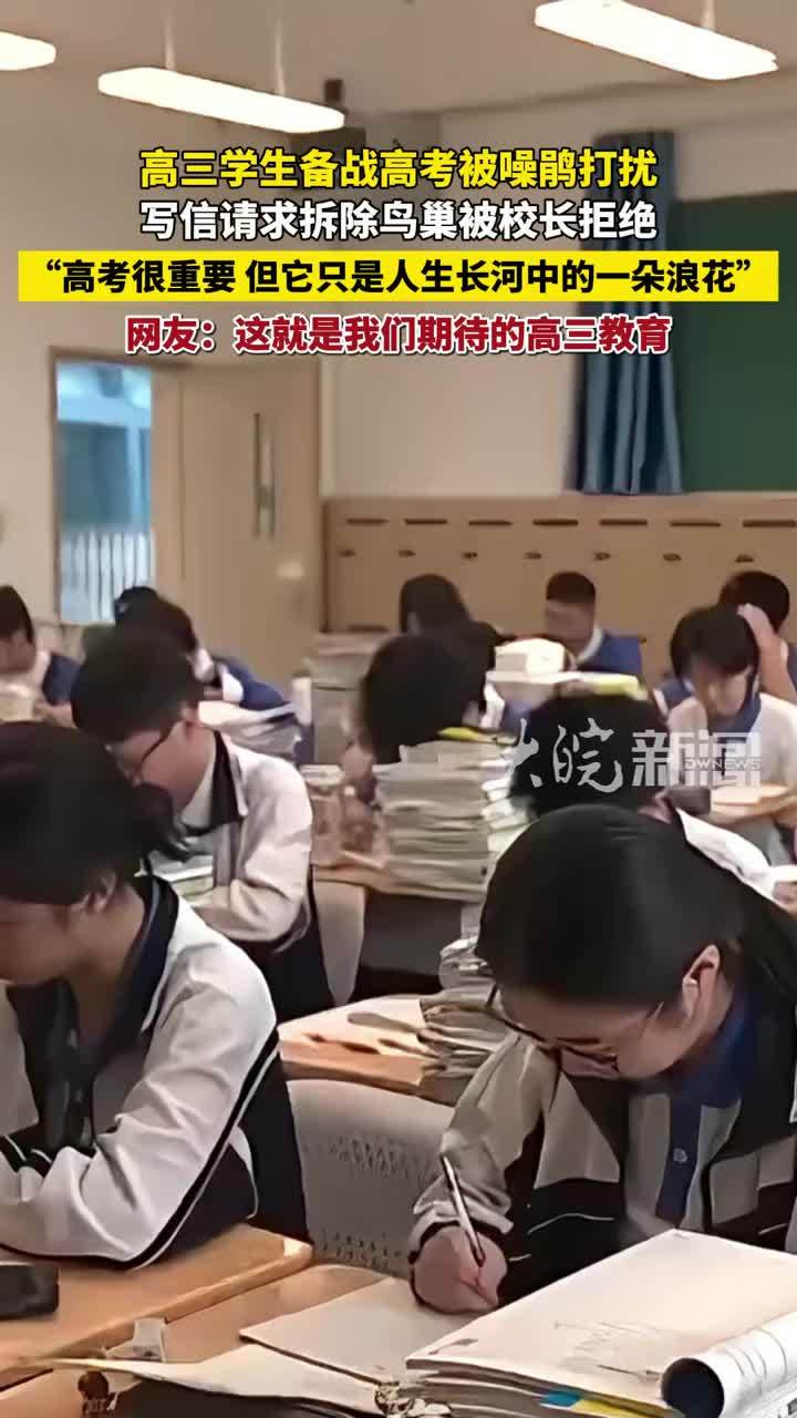 高三学生备战高考被噪鹃打扰 写信请求拆除鸟巢被校长拒绝“高考很重要，但它只是人生长河中的一朵浪花”网友：这就是我们期待的高三教育