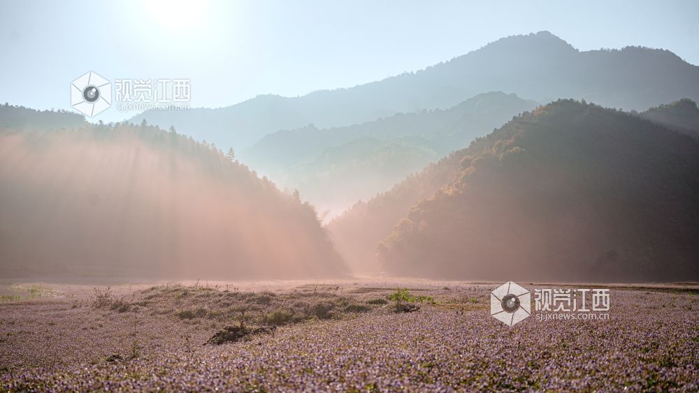 2026年4月1日在江西省吉安市新干县溧江镇培山水库拍摄的画面。