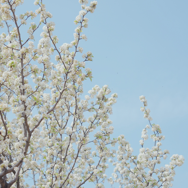 春假+清明必冲茅山！多样玩法尽享福气