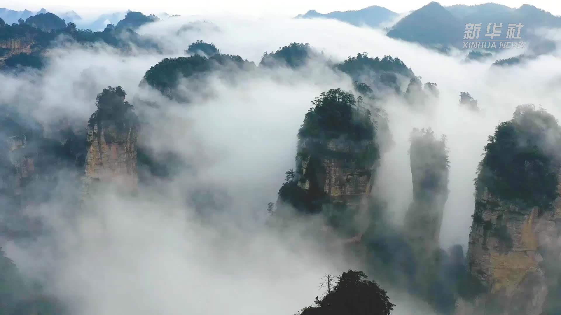 瞰中国丨湖南张家界：日出金光洒云海