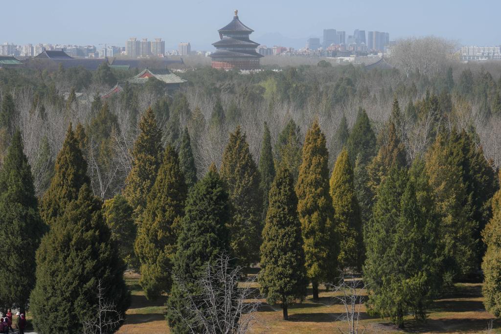 唠“科”话丨让人过敏的彼“花”，不是你我拍照观赏的此“花”