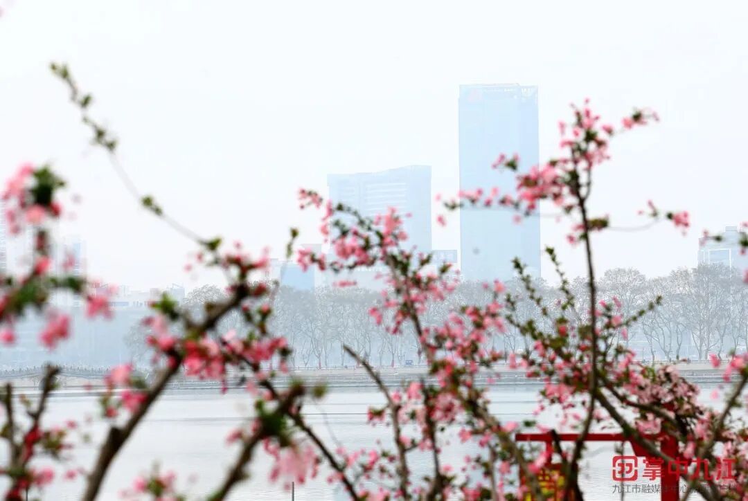 (九江日报记者 欧阳海员/摄)