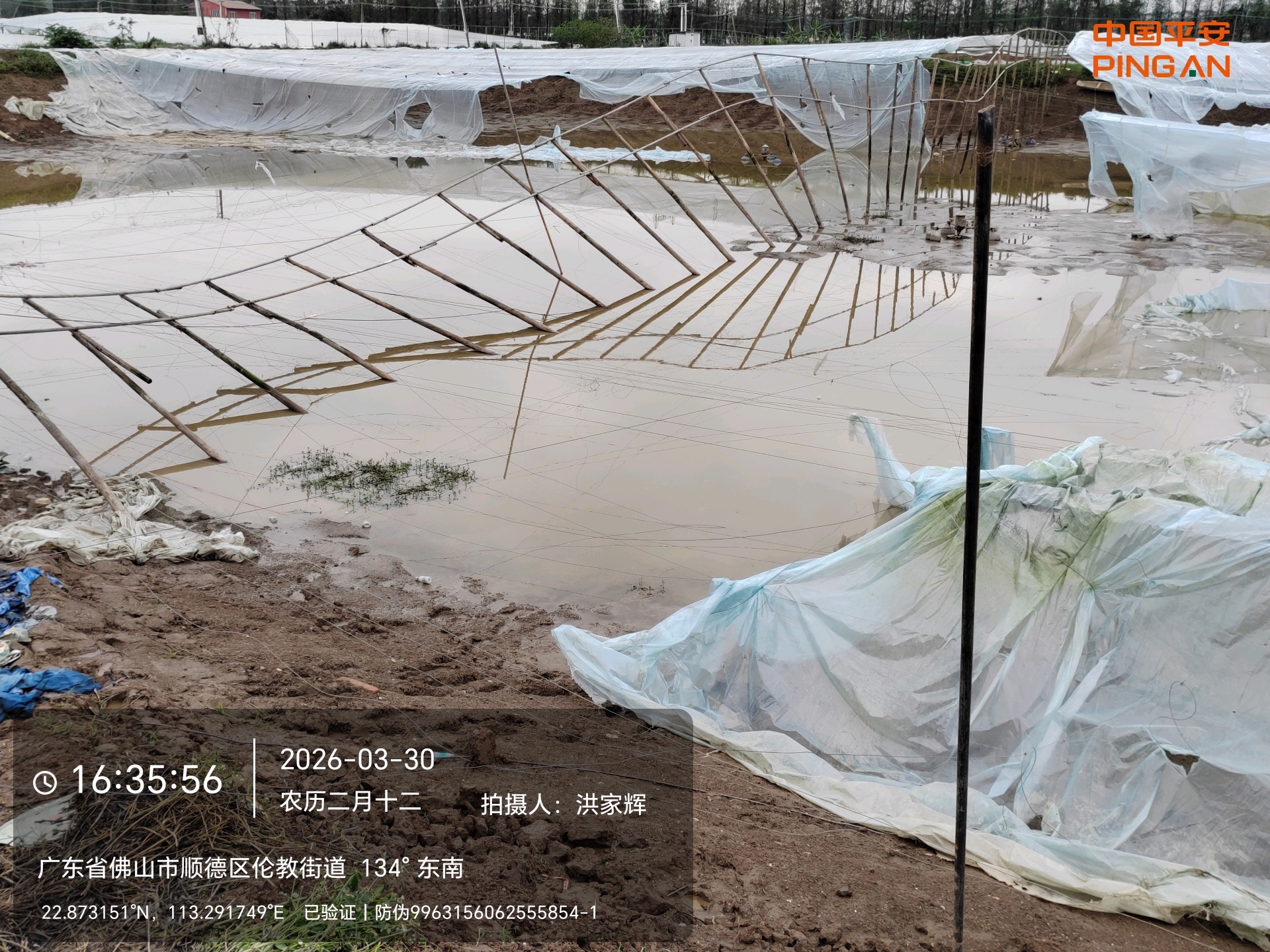 平安产险佛山分公司：迅速响应暴雨强对流天气 全力护航农业生产