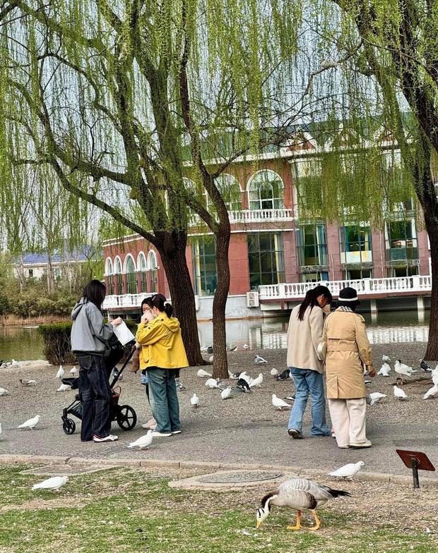 何穗穿灰卫衣戴孩子逛公园。