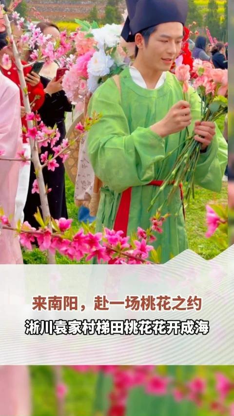 #原来你是这样的河南  淅川袁家村梯田桃花花开成海！春日里，金河镇袁家村的千亩桃花漫山绽放，粉浪翻涌间，汉服小哥哥小姐姐把鲜花递到小朋友手里，把浪漫和春日温柔都送到了身边。来淅川，赴一场桃花之约，在梯