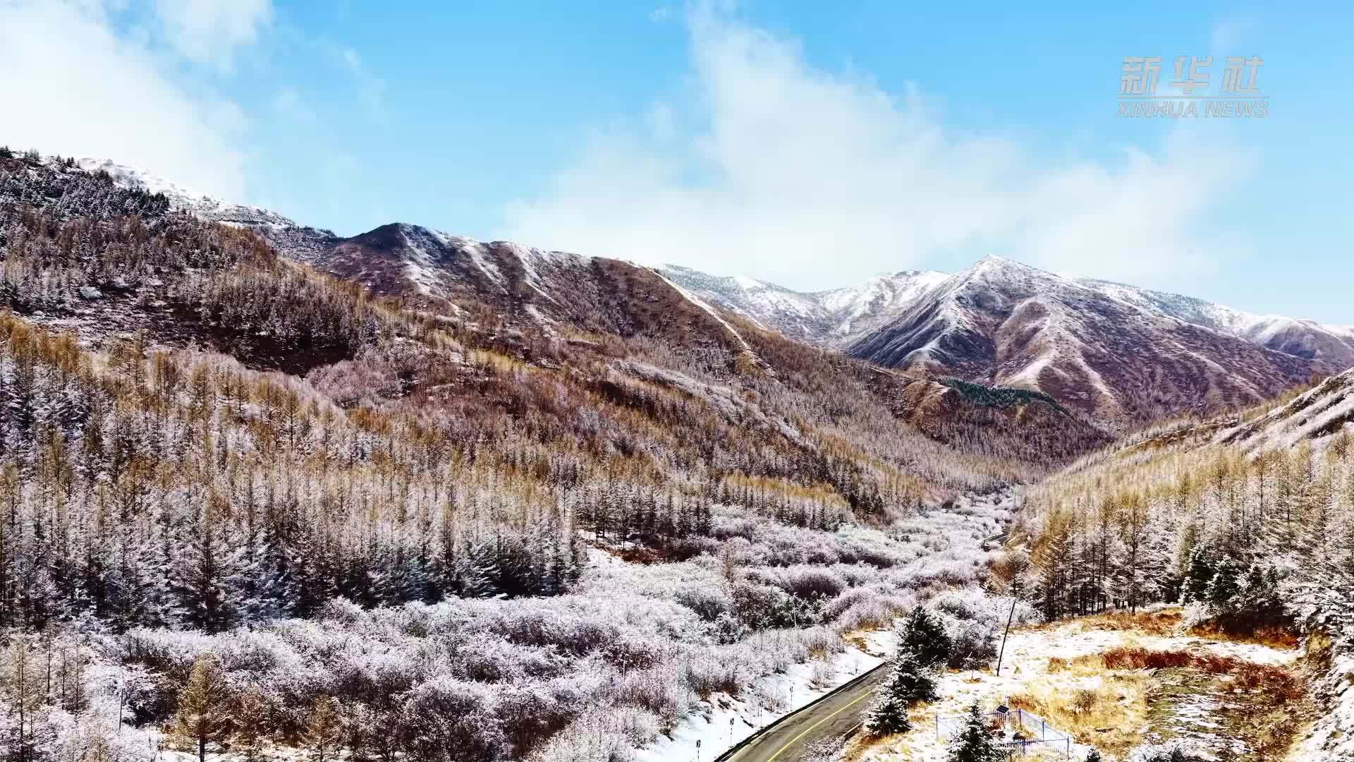春日雪后南华山 半冬半春景如画