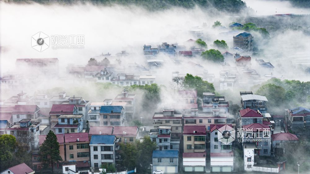 暴雨过后，吉水清晨天朗气清，经雨水冲刷后的景致洁净透亮，天地间澄澈如新，处处彰显着雨后的清新与生机，构成一幅雅致的清晨图景。