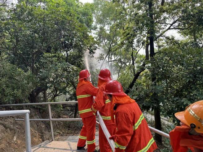 实战练兵 珠海开展清明节前森林防灭火应急演练