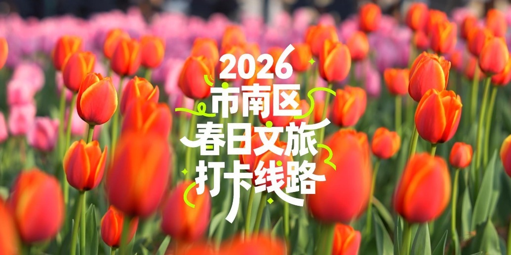 凤凰视频|花海市南・漫享春光，2026市南区春日文旅打卡线路等你探索！