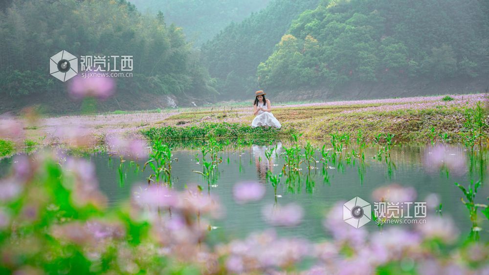 2026年4月1日在江西省吉安市新干县溧江镇培山水库拍摄的画面。