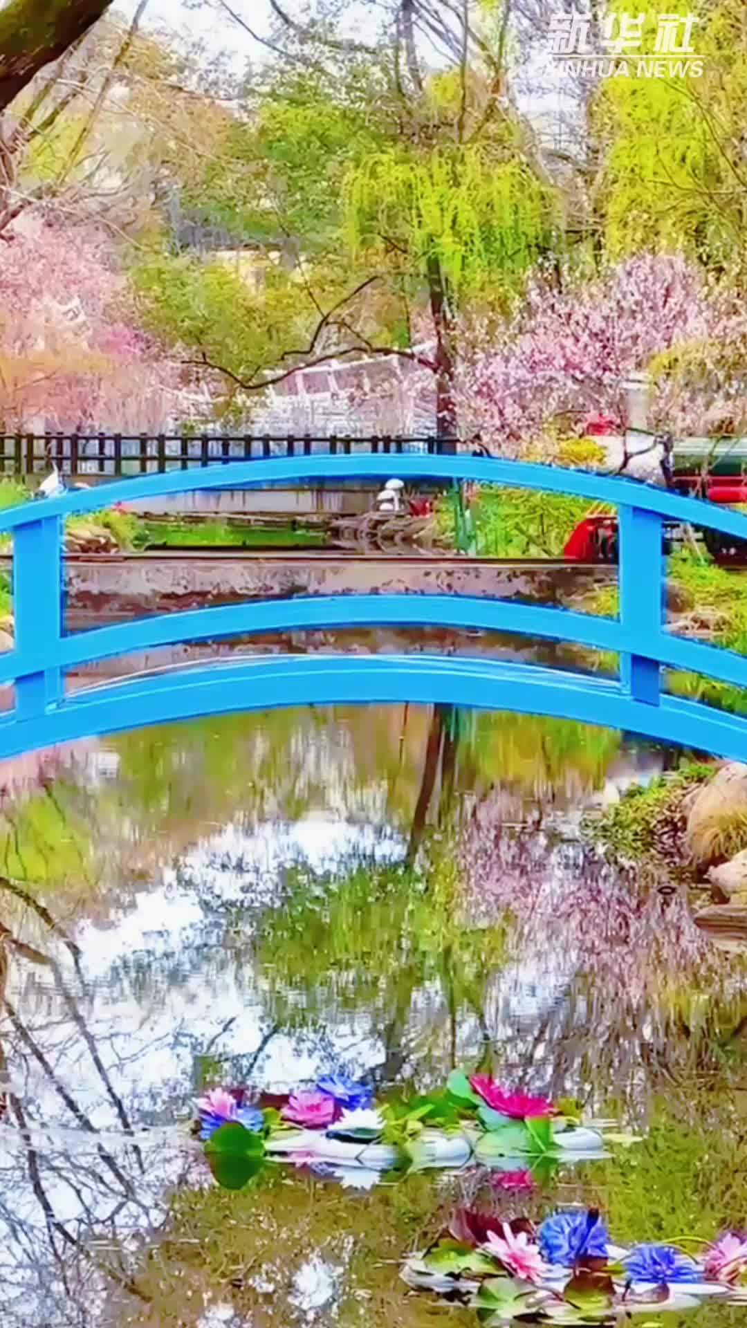 “莫奈花园”限时返场 上海共青国家森林公园承包你的春天