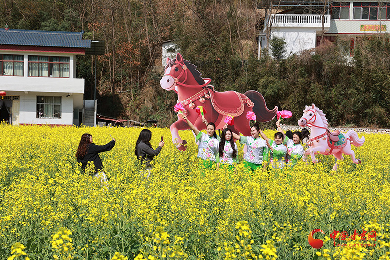 陇南康县油菜花田