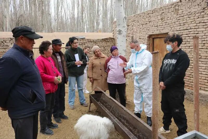 自治区科协畜牧专家现场授课（新疆贸促会驻巴音库鲁提镇克孜勒阿根村工作队颜廷闪摄）