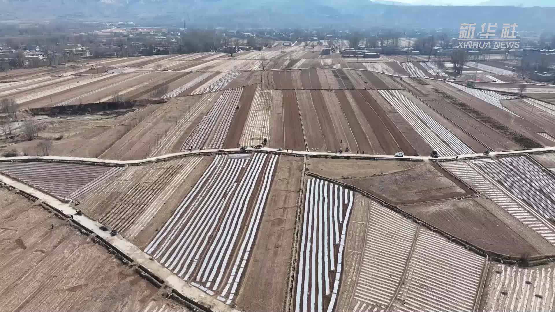 甘肃积石山：20多万亩农田覆膜 绘就春日壮阔画卷