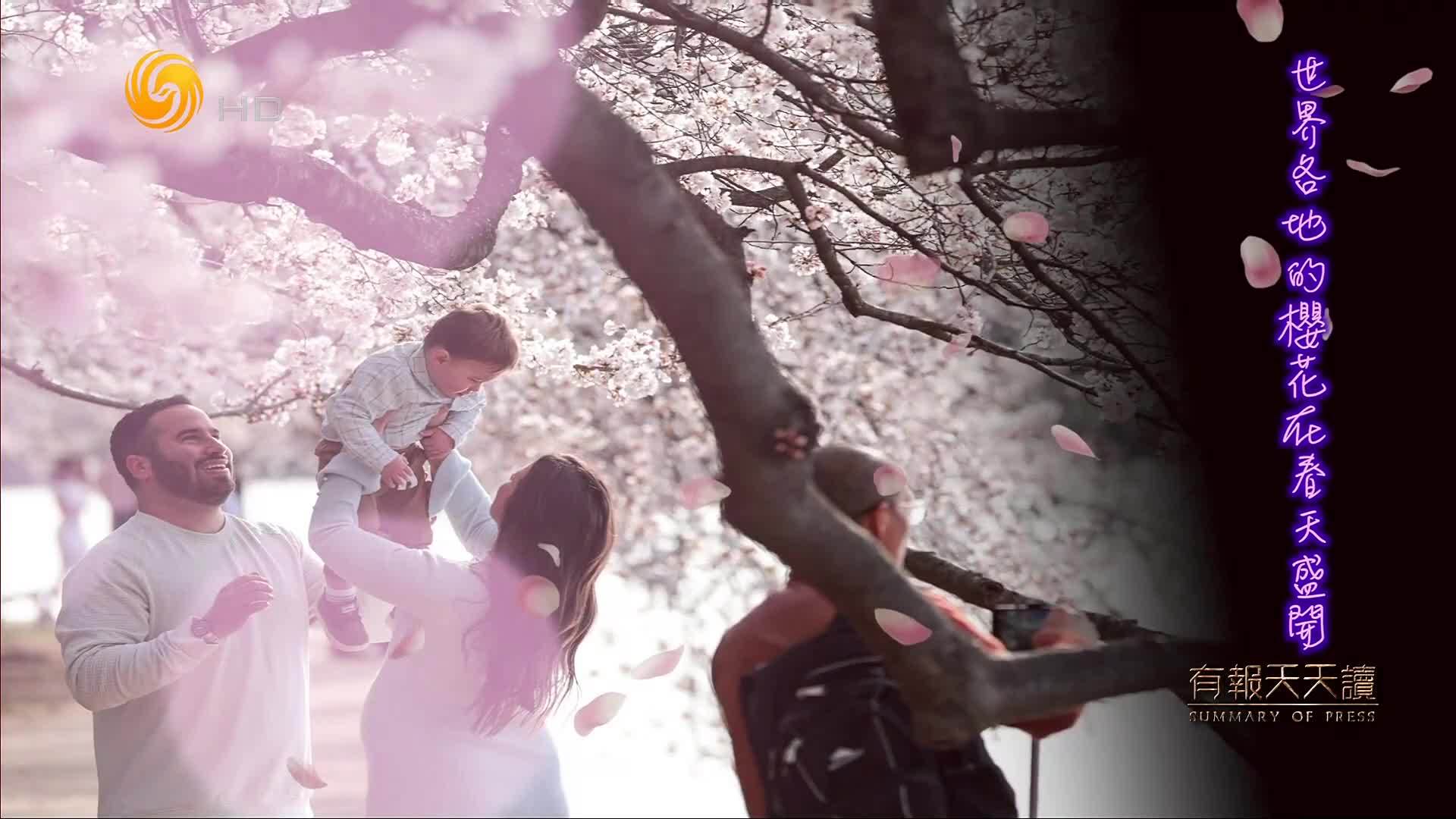4月2日大千世界