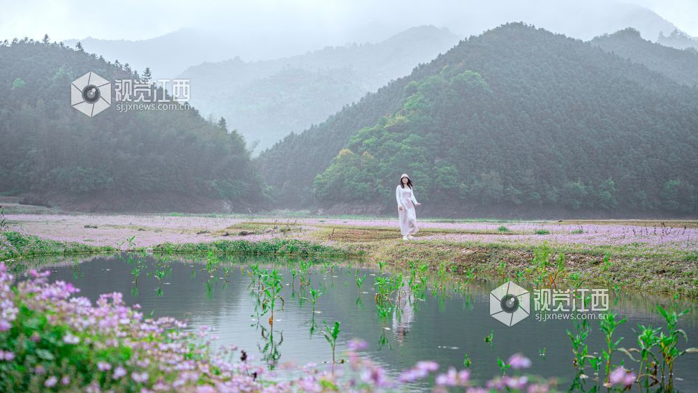 2026年4月1日在江西省吉安市新干县溧江镇培山水库拍摄的画面。