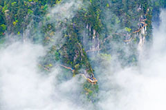 被春天治愈的一天 从明月山开始