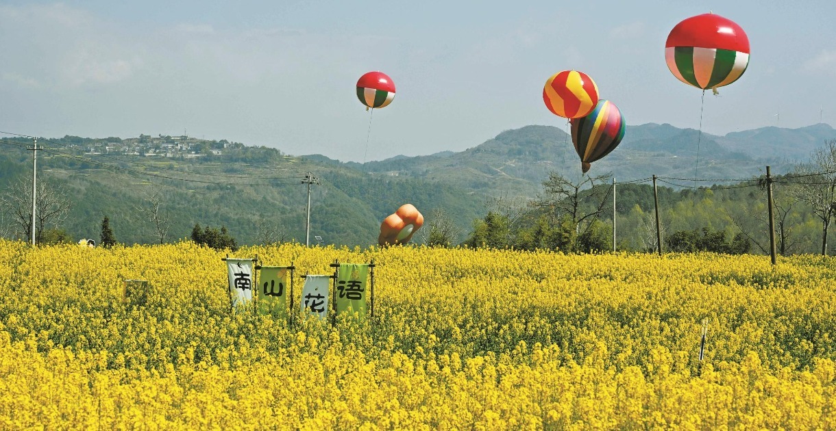 沿着高速去赏花  宁波推出三条精品线路