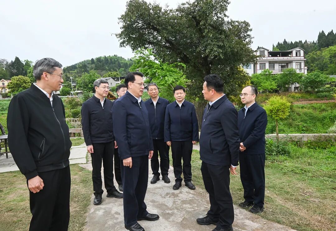 4月1日,在大足和平村,市委书记袁家军了解田园综合体运营、特色产业发展、村集体经济壮大等情况。记者 苏思 摄/视觉重庆