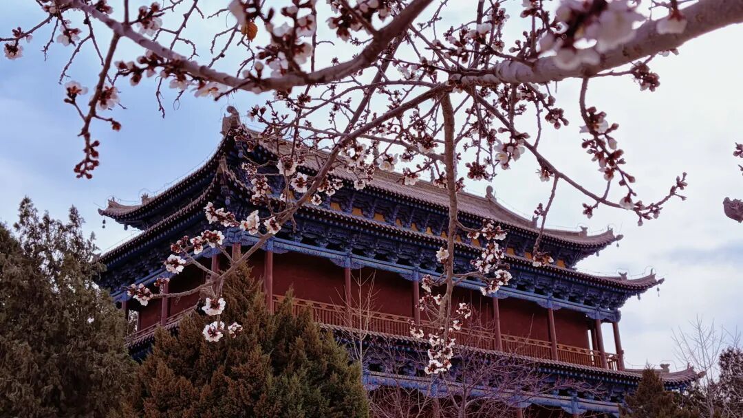 武威文庙景区(摄影:田雪)