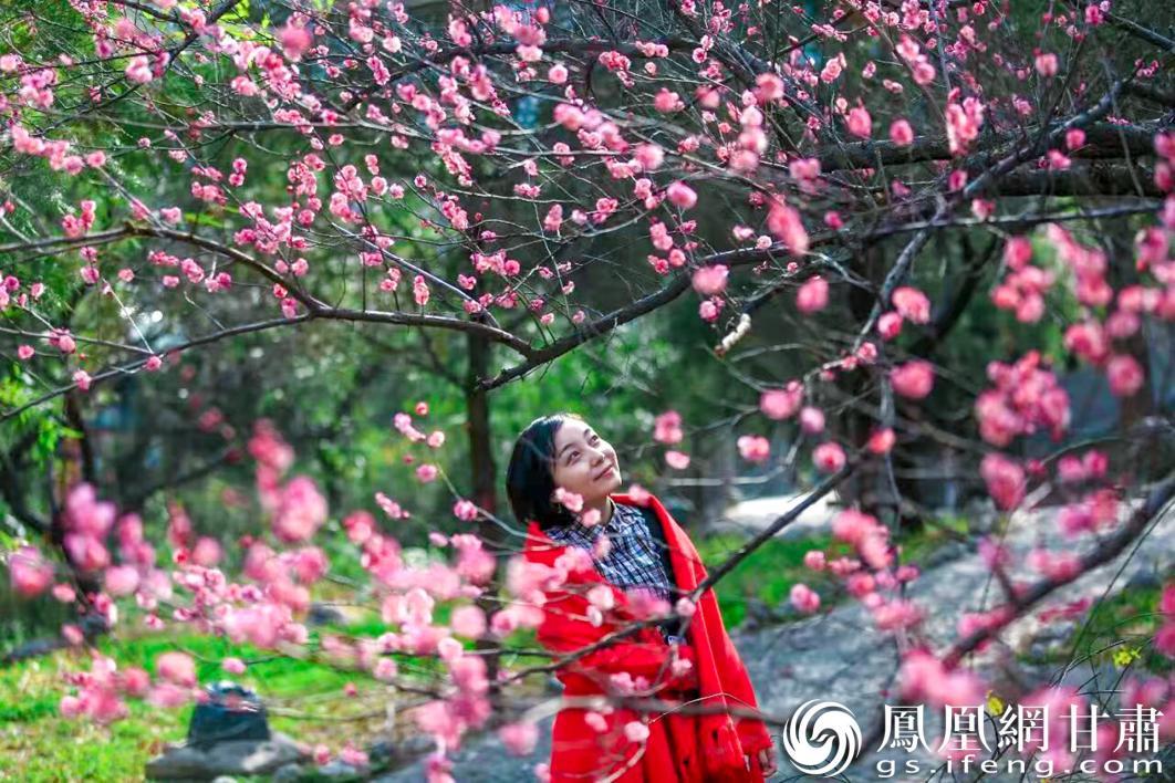 成县杜甫草堂梅花醉人　成县文化和旅游局供图