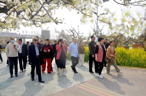 聊城举办作家诗人放歌梨乡三十周年大型采风活动