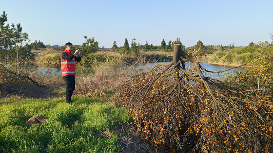 人保“春雨”润良田 温暖服务护春耕