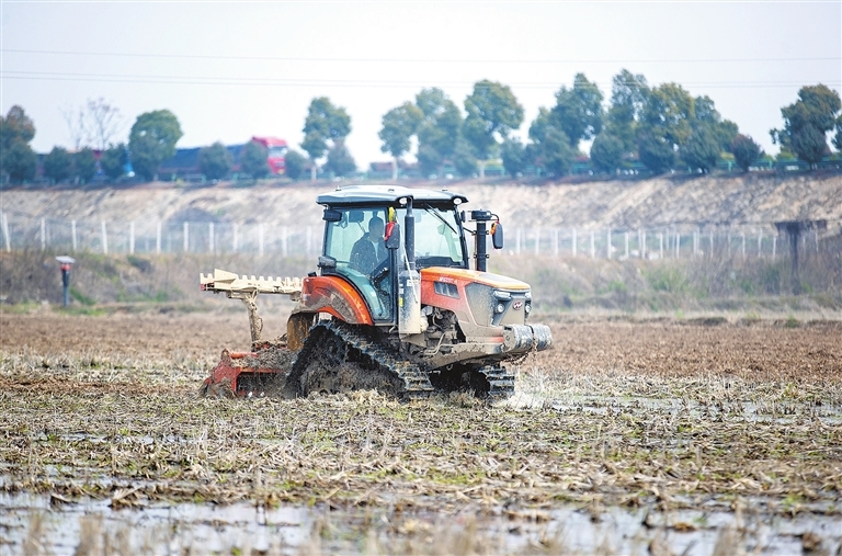共青城：稻田翻耕忙 不负好春光（图）