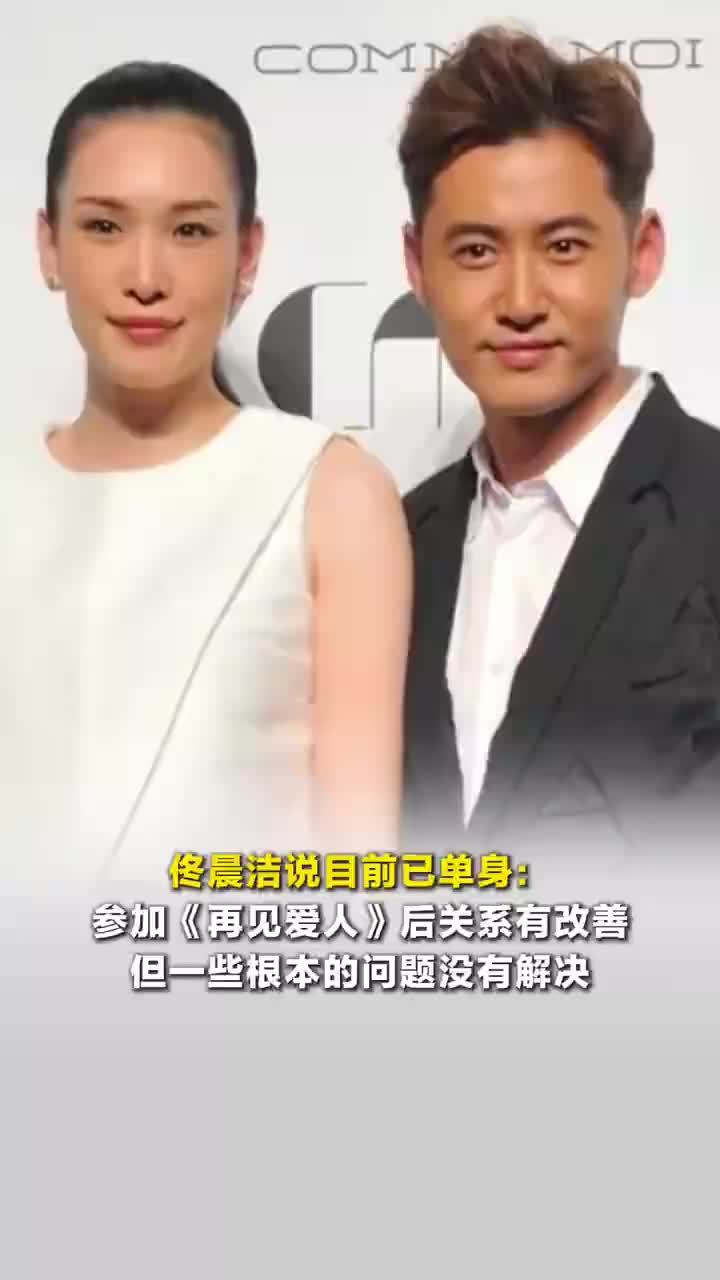 佟晨洁和魏巍已离婚，佟晨洁说目前已单身：参加《再见爱人》后关系有改善，但一些根本的问题没有解决