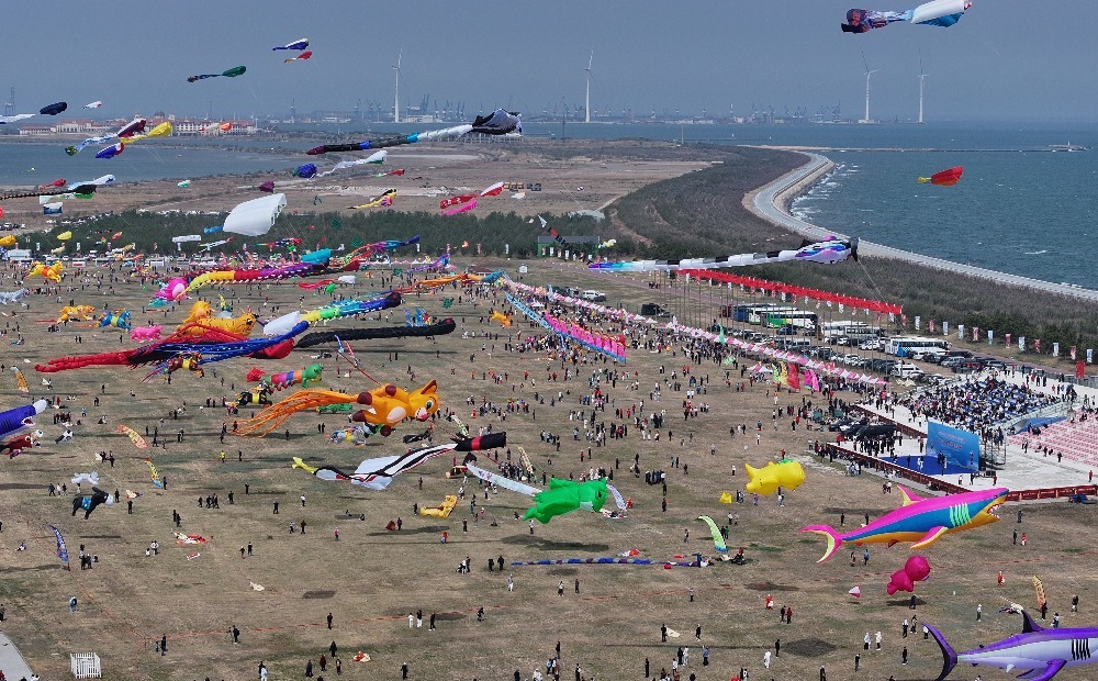 渤海湾畔万筝齐飞 潍坊风筝会邀你来滨海打卡