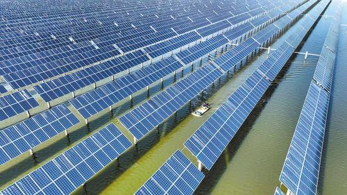 日前拍摄的唐山市丰南区黑沿子镇“渔光互补”发电场光伏板。 李秀清摄