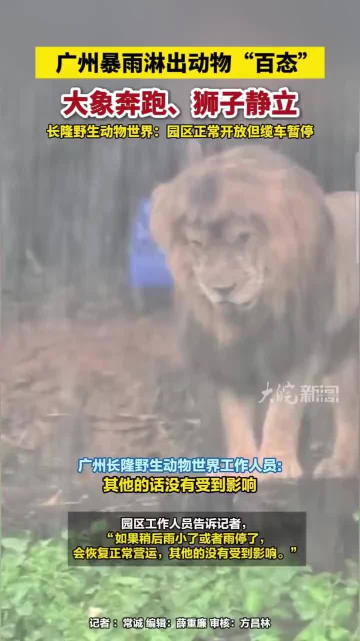 广州暴雨淋出动物“百态”，大象奔跑、狮子静立，长隆野生动物世界：园区正常开放但缆车暂停#长隆野生动物世界 #广州暴雨淋       大皖新闻讯 3月29日至30日，广东遭遇大范围强对流天气。广州长隆野