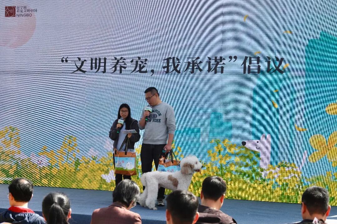 这些 “小事”，才是宁波最美的底色！