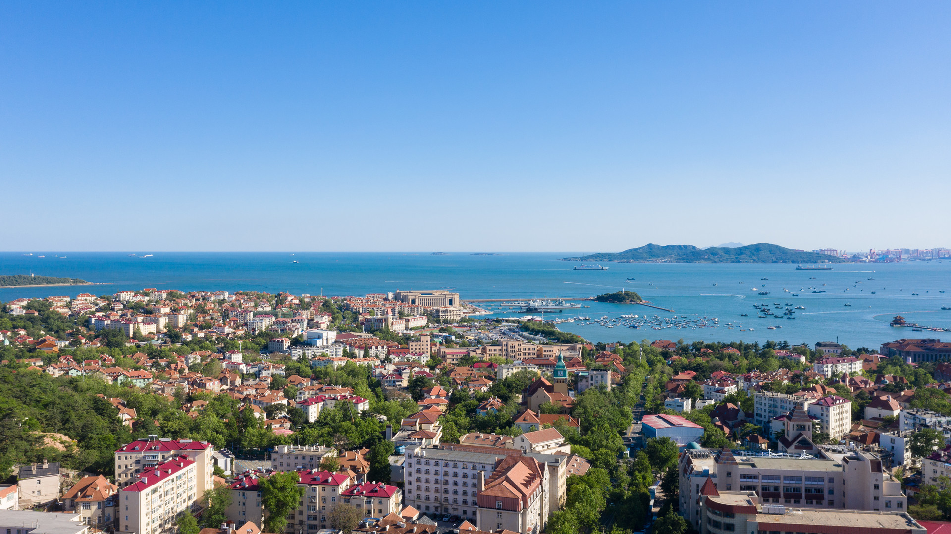 树立宠物友好旅游新标杆 青岛迎首批韩国携宠入境游客