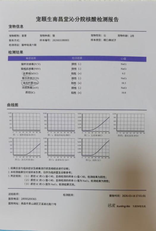 小猫买回家后拉肚子、呕吐 南昌消费者疑似买到“星期宠”陷维权难