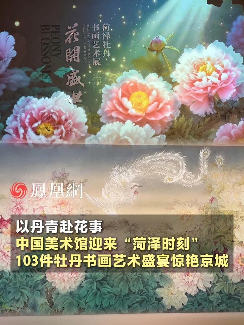 以丹青赴花事，中国美术馆迎来“菏泽时刻”！103件牡丹书画艺术盛宴惊艳京城 #山东 #菏泽 #牡丹 #艺术