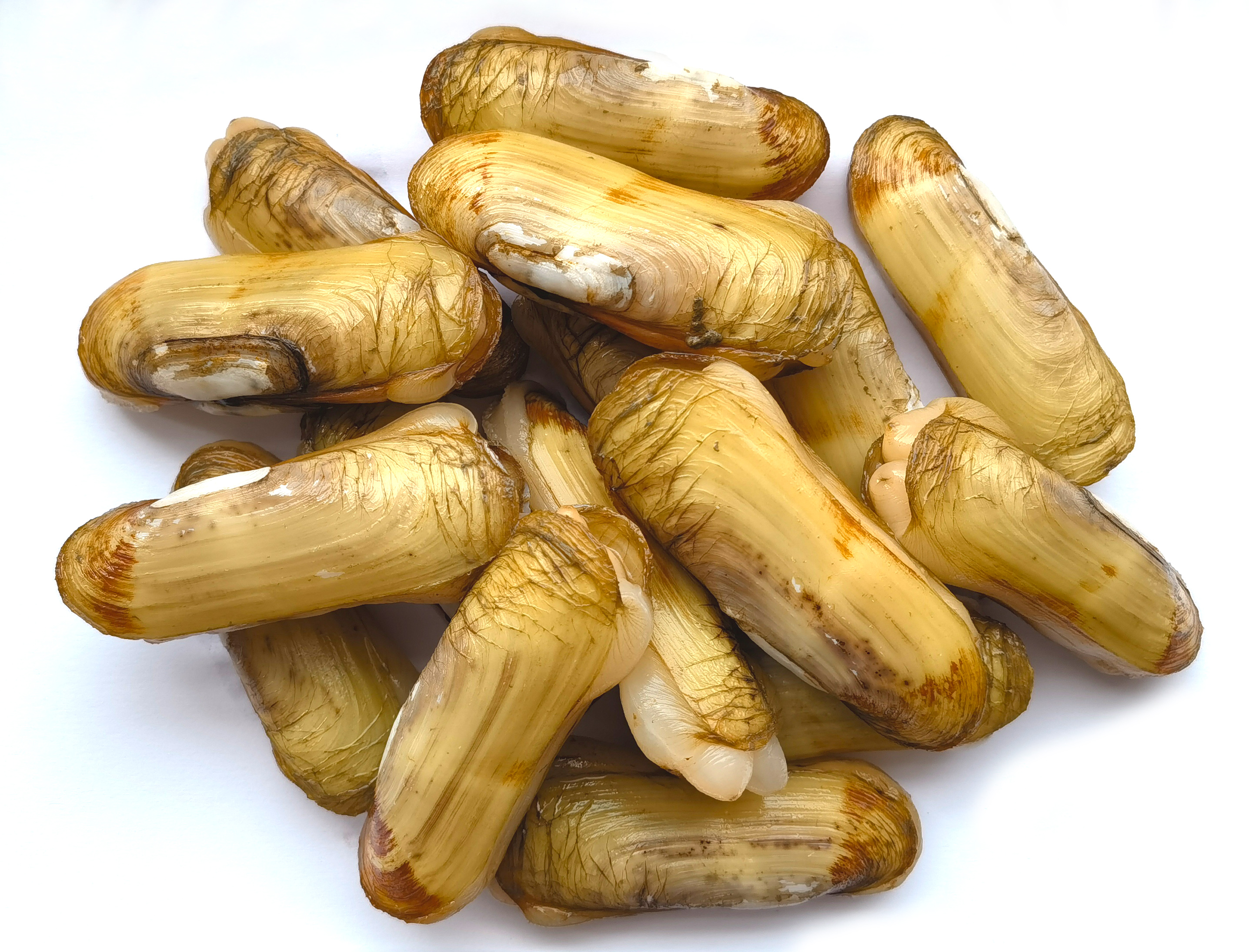 “泥土味”里长出“科技范”！浙江万里学院三项农业“硬核”成果入选省主导名录